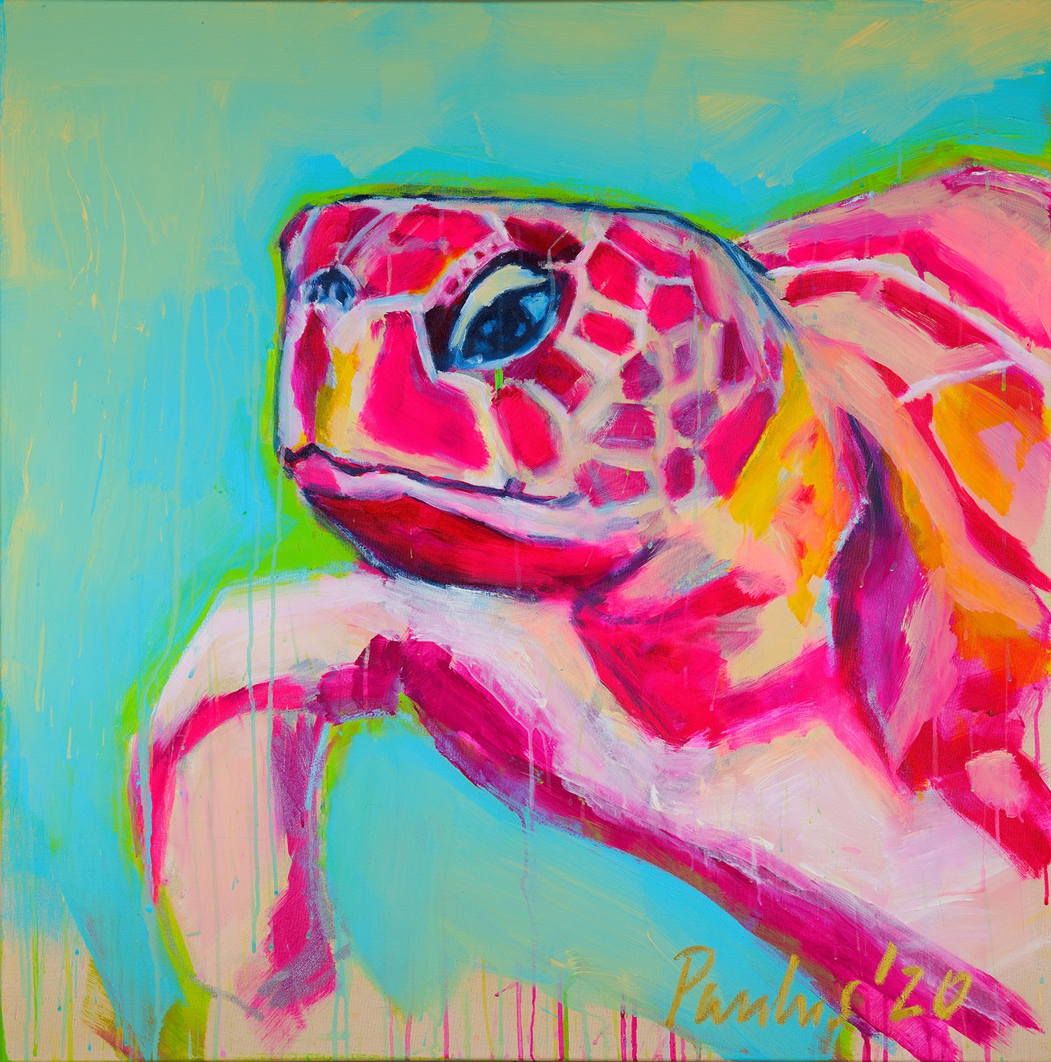 Schildkröte, 2020, 100cm x 100cm, Acryl auf Leinwand