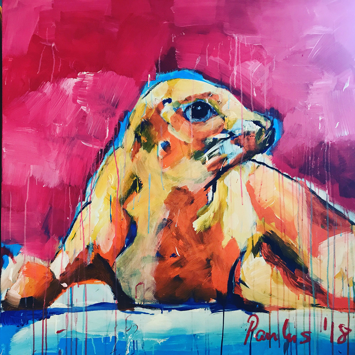 Seehund, 2018, 100cm x 100cm, Acryl auf Leinwand